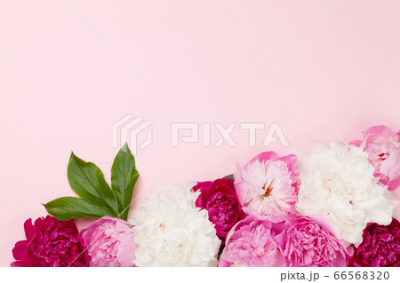 Colorful pink, white and purple peony flowers 66568320