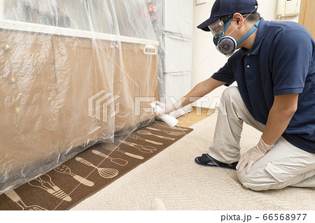 室内に殺虫剤を散布する害虫駆除の作業員 室内に殺虫剤を散布する害虫駆除の作業員 66568977