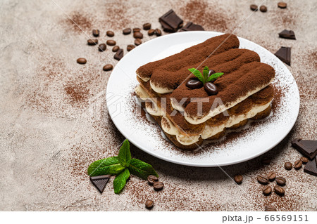 Classic tiramisu dessert on ceramic plate on concrete background Classic tiramisu dessert on ceramic plate on concrete background 66569151