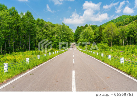 初夏の磐梯吾妻レークラインの風景 青空と直線道路 福島県猪苗代町 初夏の磐梯吾妻レークラインの風景 青空と直線道路 福島県猪苗代町 66569763