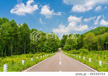 初夏の磐梯吾妻レークラインの風景　青空と直線道路　福島県猪苗代町 66569764