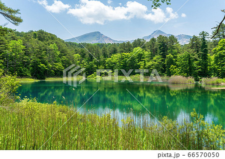 五色沼自然探勝路の新緑風景 るり沼と磐梯山 福島県北塩原村 五色沼自然探勝路の新緑風景 るり沼と磐梯山 福島県北塩原村 66570050