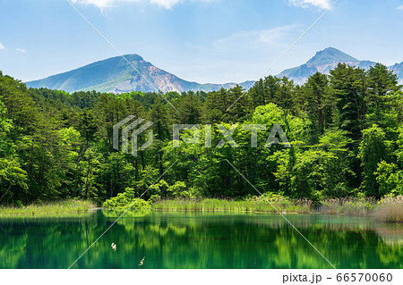 五色沼自然探勝路の新緑風景　るり沼と磐梯山　福島県北塩原村 66570060