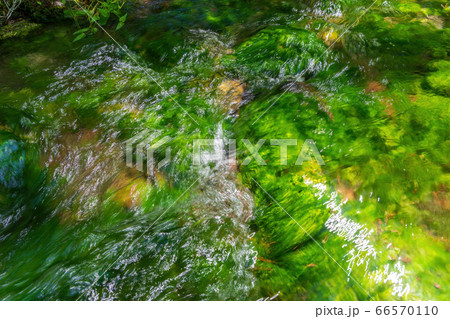 五色沼自然探勝路の新緑風景 青沼に流れる小川 福島県北塩原村 五色沼自然探勝路の新緑風景 青沼に流れる小川 福島県北塩原村 66570110
