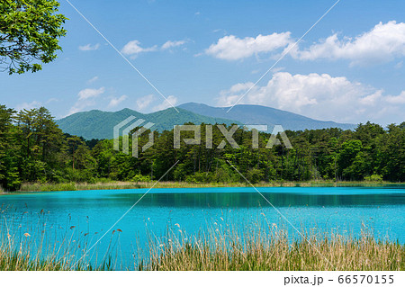 初夏の五色沼自然探勝路の風景　弁天沼と西吾妻山　福島県北塩原村 66570155