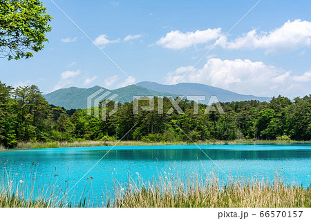 初夏の五色沼自然探勝路の風景　弁天沼と西吾妻山　福島県北塩原村 66570157