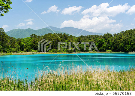 初夏の五色沼自然探勝路の風景 弁天沼と西吾妻山 福島県北塩原村 初夏の五色沼自然探勝路の風景 弁天沼と西吾妻山 福島県北塩原村 66570168