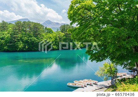 初夏の毘沙門沼（五色沼）の風景　新緑と磐梯山　福島県北塩原村 66570436