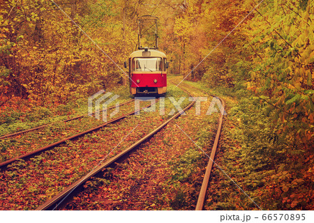 Vintage red tram 66570895