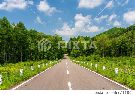 初夏の磐梯吾妻レークラインの風景　青空と直線道路　福島県猪苗代町 66571180