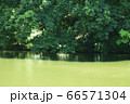 水辺 66571304