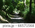 細道 66571568