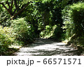 細道 66571571