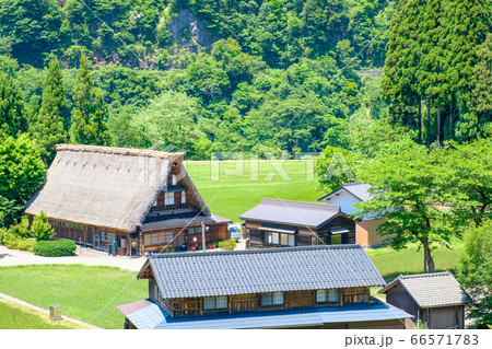 初夏の菅沼合掌造り集落 初夏の菅沼合掌造り集落 66571783