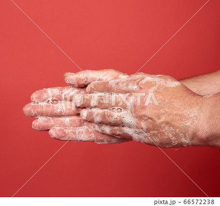 two male hands in a white soapy foam, body hygiene two male hands in a white soapy foam, body hygiene 66572238