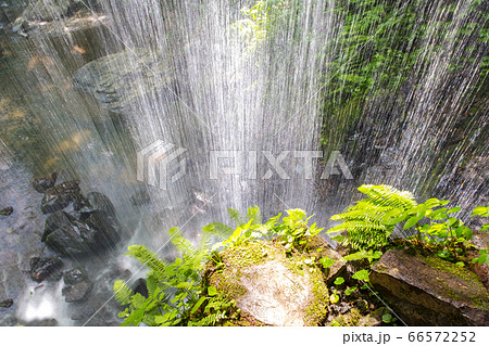 岩井滝の初夏 66572252