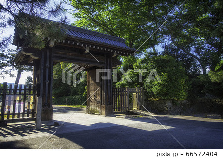 京都御苑の蛤御門と新緑の風景です 京都御苑の蛤御門と新緑の風景です 66572404