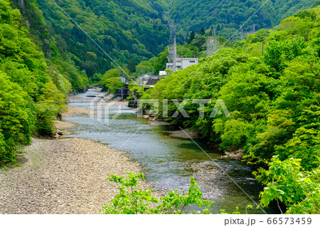 岐阜・新緑の庄川（白川村椿原付近） 66573459
