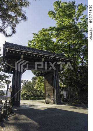 京都御苑の中立売御門と新緑の風景 66574350