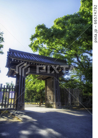 京都御苑の乾御門と新緑の風景 66574792