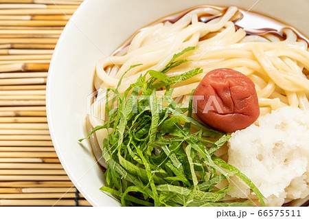 梅おろしぶっかけうどん(冷)。背景すだれで夏イメージ。 66575511
