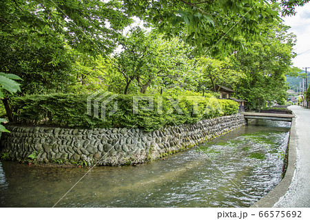 白石城 武家屋敷通り 白石市 白石城 武家屋敷通り 白石市 66575692