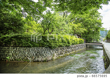 白石城 武家屋敷通り 白石市 白石城 武家屋敷通り 白石市 66575695