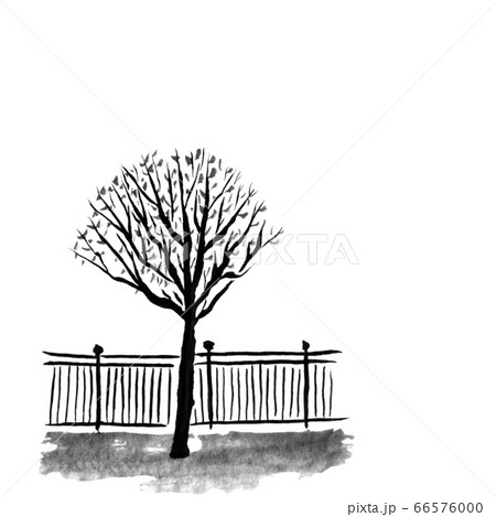 街路樹と柵（墨の手描きイラスト） 66576000