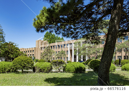 東北大学 国立大学 仙台市 東北大学 国立大学 仙台市 66576116