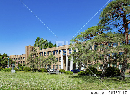 東北大学　国立大学　仙台市 66576117