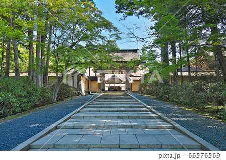 【高野山 金剛峯寺】 和歌山県伊都郡高野町高野山 【高野山 金剛峯寺】 和歌山県伊都郡高野町高野山 66576569