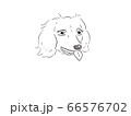 愛犬のイラスト　ダックスフンド 66576702