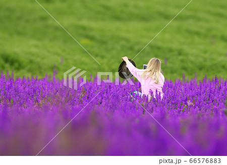 Deep in the purple fields Deep in the purple fields 66576883
