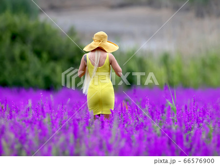 Deep in the purple fields Deep in the purple fields 66576900