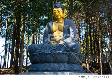 身延山久遠寺・奥之院思親閣、釈迦像（山梨県南巨摩郡身延町）2020年3月 66577143
