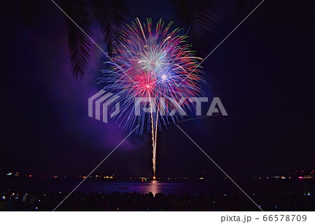 打ち上げ花火　瀬戸田町夏まつり 66578709