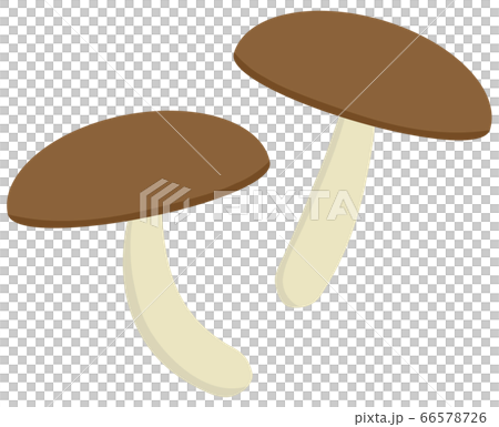 きのこ しいたけのイラスト素材