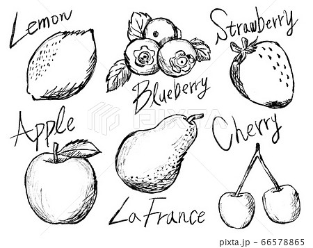 果物やフルーツの白黒手書きイラストイメージのイラスト素材