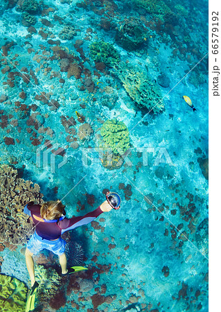 Young man in snorkelling mask dive underwater Young man in snorkelling mask dive underwater 66579192