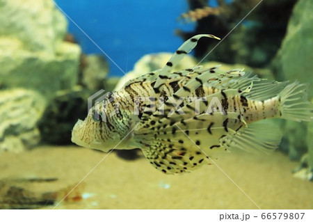 賢島 志摩マリンランドの写真素材