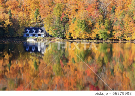 Autumn colors and fog reflections on the lake, Quebec, Canada Autumn colors and fog reflections on the lake, Quebec, Canada 66579908