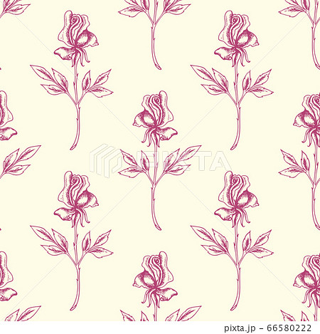 Vintage floral seamless pattern with roses 66580222