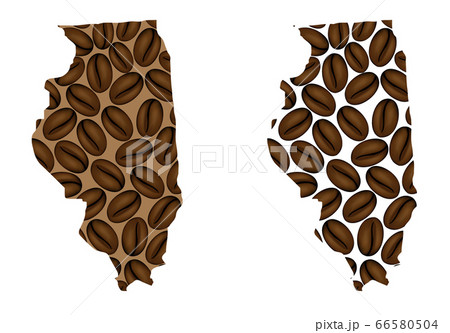 Illinois -  map of coffee bean 66580504