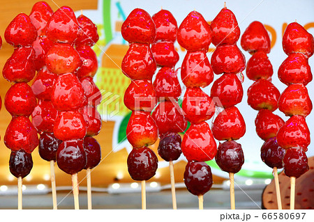 済州 済州島 韓国 66580697