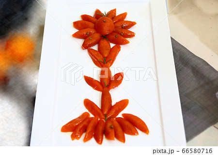 済州 済州島 韓国 66580716