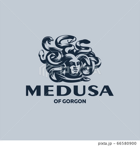 Head of the Gorgon Medusa. Head of the Gorgon Medusa. 66580900