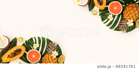 summer fresh fruits summer fresh fruits 66581761