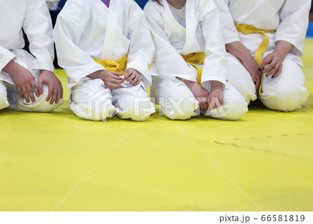 Children in kimono and yellow belts sitting on tatami 66581819