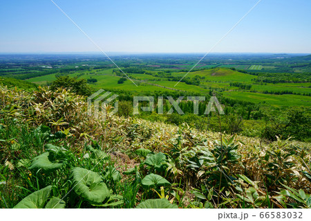 円山展望台 66583032