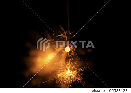 夏イメージ 儚くも美しい線香花火の写真素材